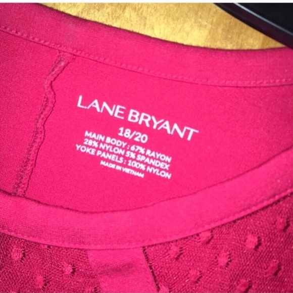 18/20W Venetian Red Point D’esprit Yoke Neck Top - Picture 6 of 10